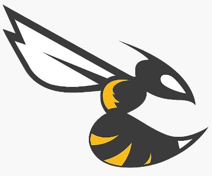 Betaflight Logo